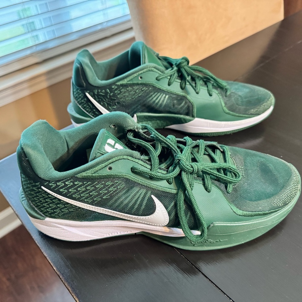 Nike Forest Green Basketball Shoes  with White Accents
